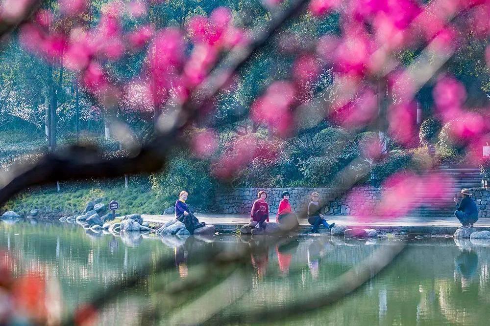 两会•海报丨10组关键词解锁山西“两会”多巴胺
